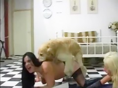 Doggy and girl