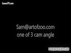 Sam art of zoo desde 1 angulo