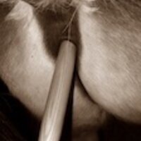 Leatherstud's Avatar