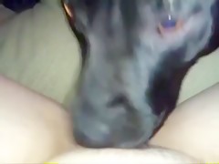 Doggy fucked by Adilia and friends 3