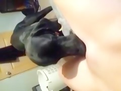 Perro rematando la faena
