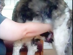 Pussy woman dog licks Dog lick