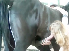 Helping my sister with his horse