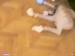 Gathering behind the dog