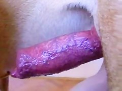 Thumb 14