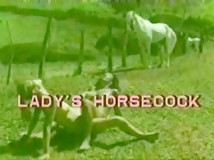 Lady´s horse cook
