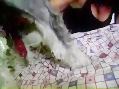 Thumb 18