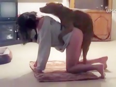 i record my girlfrend when she fuck the dog