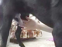 Thumb 16
