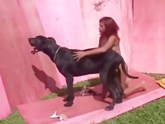 Girl takes dog cum 