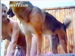 Sharing dog sex with friend