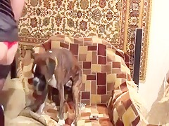 Team Russia Petlove - Sveta - Sveta And Dog