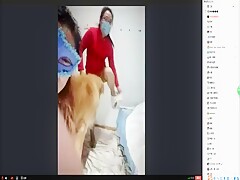 女主播与狗狗续集