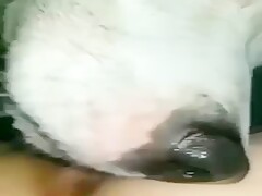 Girl let’s dog lick then fuck her